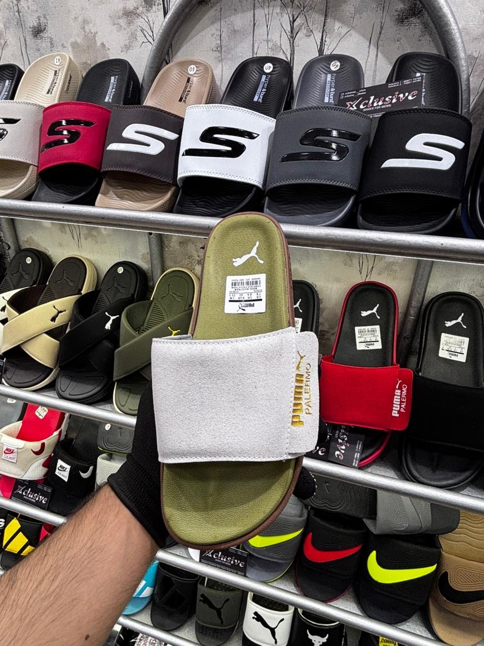 PUMA LATEST EDITION.